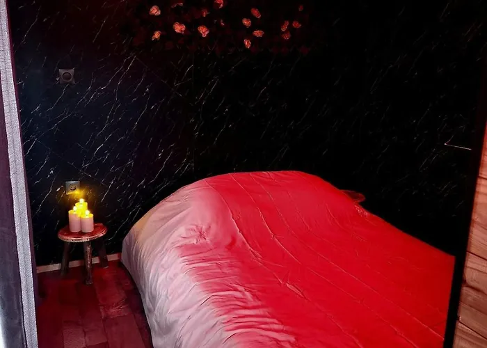 Le Nid Douillet Du Tacot *